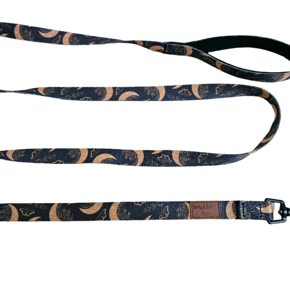 Moon And Moths Celestial Nylon Dog Leash- Fall Dog Leash